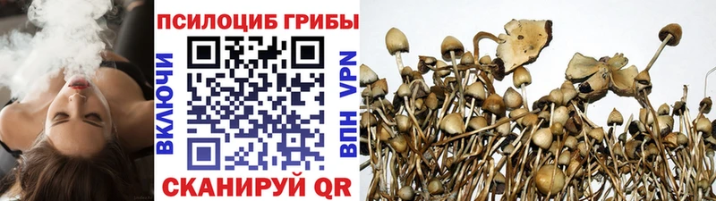 Псилоцибиновые грибы Psilocybine cubensis  Зеленодольск 